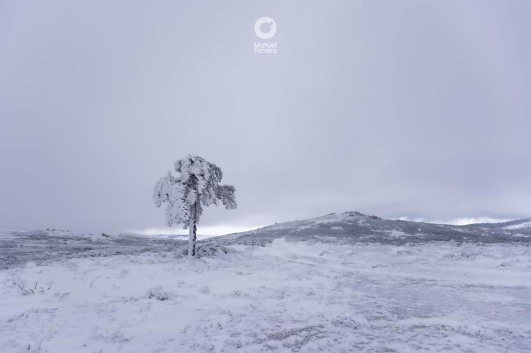 O Salgueiro Daire Melo Dış mekan fotoğraf